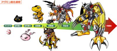 digimon evolution stages.